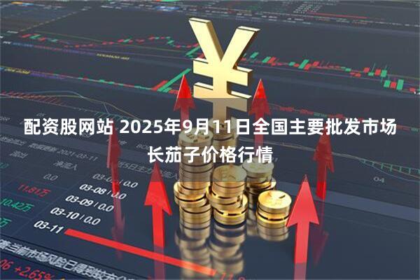 配资股网站 2025年9月11日全国主要批发市场长茄子价格行情