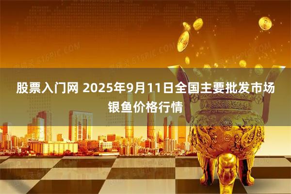 股票入门网 2025年9月11日全国主要批发市场银鱼价格行情