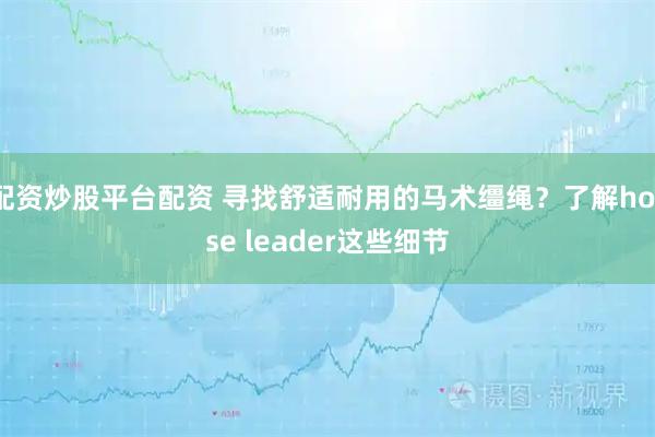 配资炒股平台配资 寻找舒适耐用的马术缰绳？了解horse leader这些细节